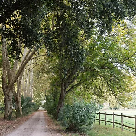 Domaine Du Castellas 3*