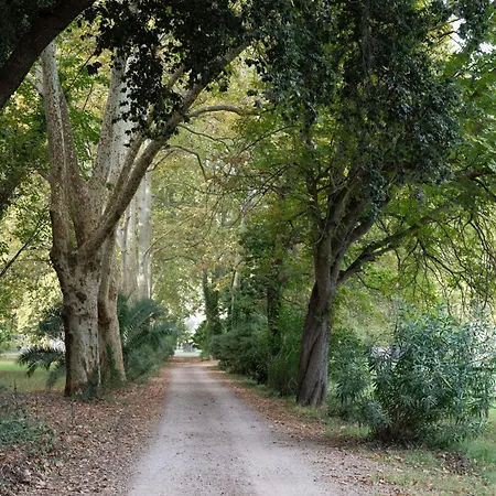 Domaine Du Castellas 3*