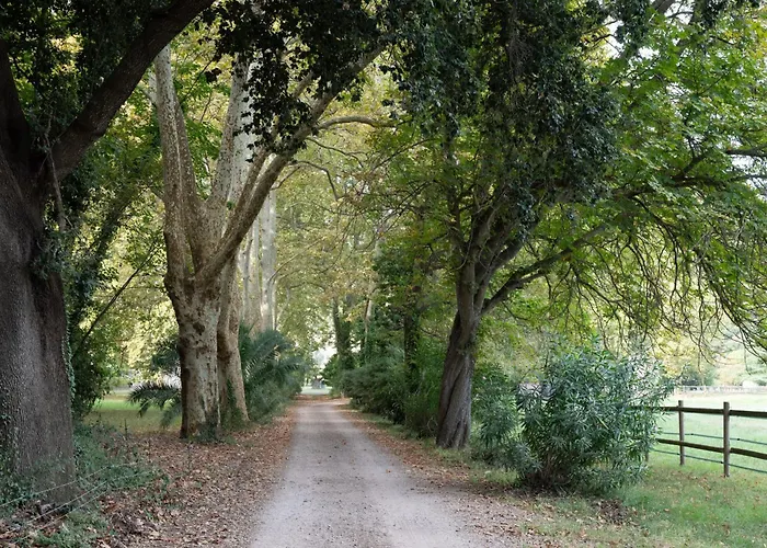 Domaine Du Castellas 3*